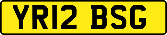 YR12BSG