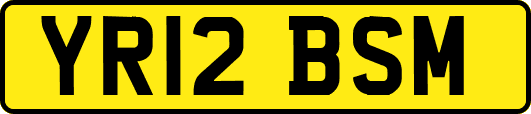 YR12BSM