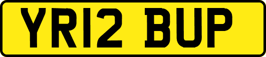 YR12BUP