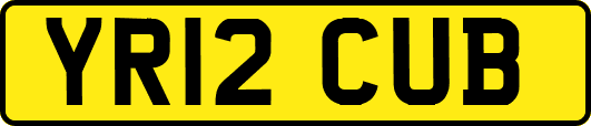 YR12CUB