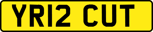 YR12CUT