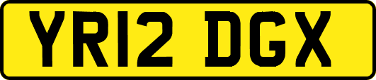 YR12DGX