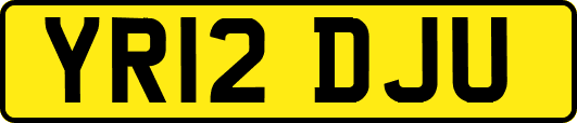YR12DJU