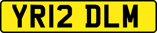 YR12DLM