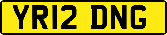 YR12DNG
