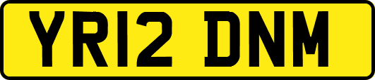 YR12DNM
