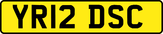 YR12DSC
