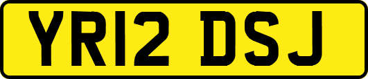YR12DSJ