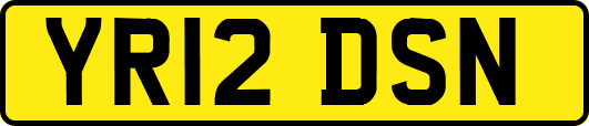 YR12DSN