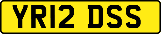 YR12DSS