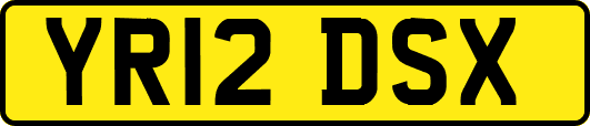 YR12DSX