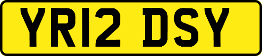 YR12DSY