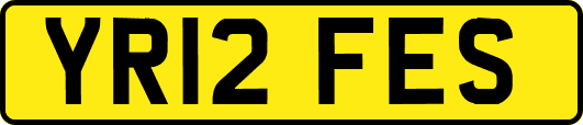 YR12FES