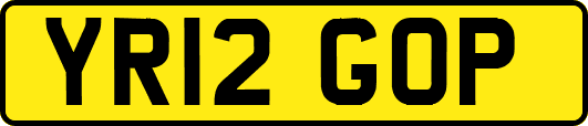 YR12GOP