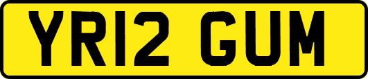 YR12GUM