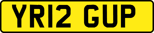 YR12GUP