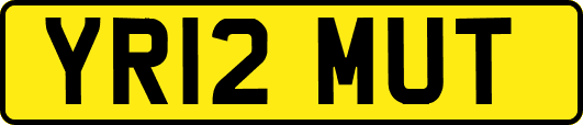 YR12MUT