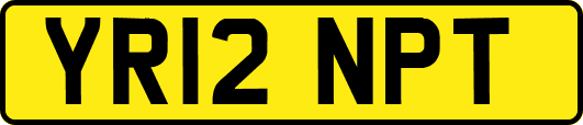 YR12NPT