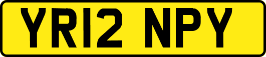 YR12NPY