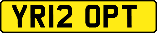 YR12OPT