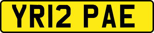 YR12PAE