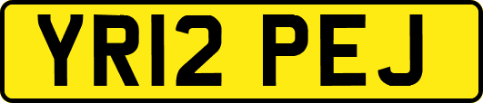 YR12PEJ