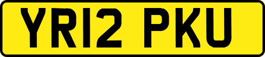 YR12PKU