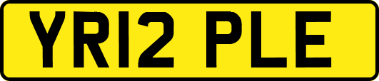 YR12PLE