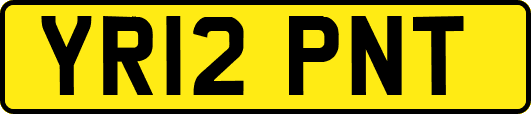 YR12PNT
