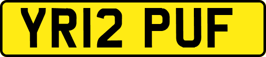 YR12PUF