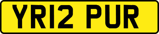YR12PUR