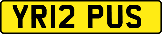 YR12PUS