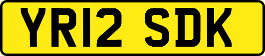 YR12SDK