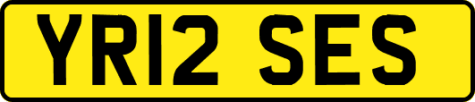 YR12SES