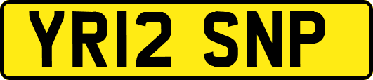 YR12SNP