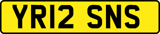 YR12SNS