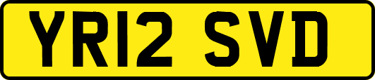 YR12SVD