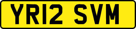 YR12SVM