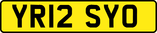 YR12SYO