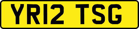 YR12TSG