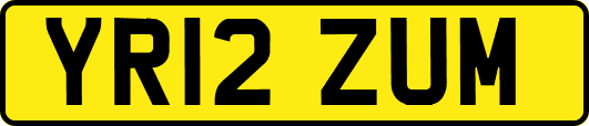 YR12ZUM