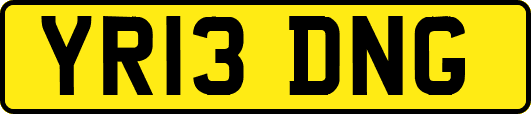 YR13DNG