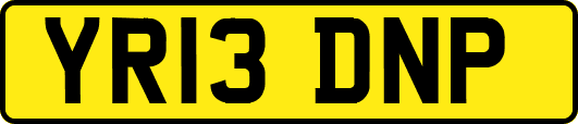 YR13DNP