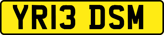 YR13DSM
