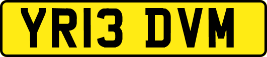 YR13DVM