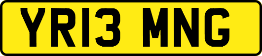 YR13MNG