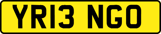 YR13NGO