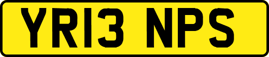 YR13NPS