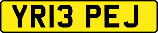 YR13PEJ