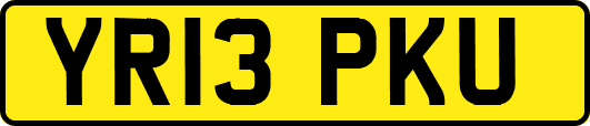 YR13PKU